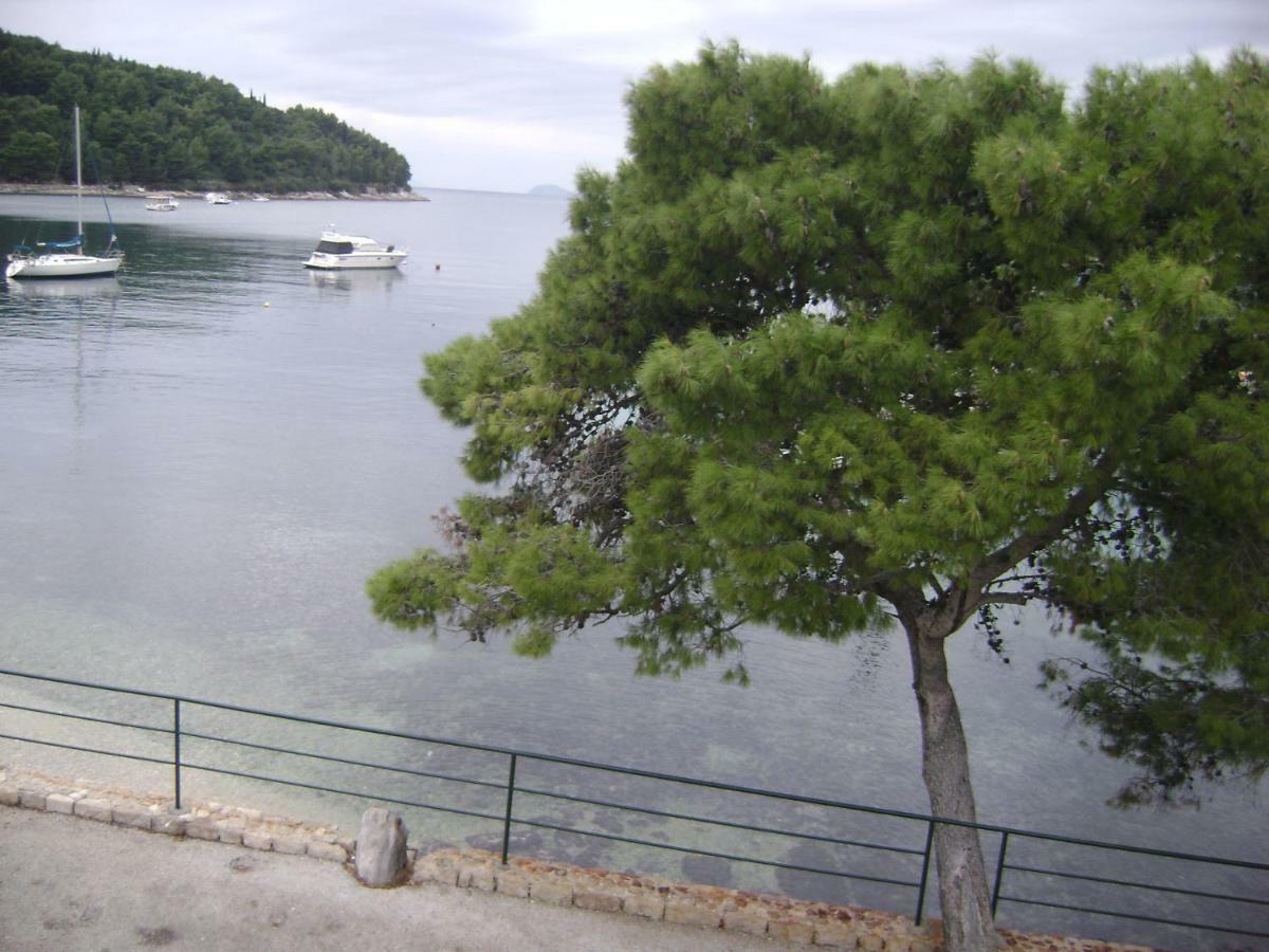 Apartment Andriuci Cavtat Exteriér fotografie
